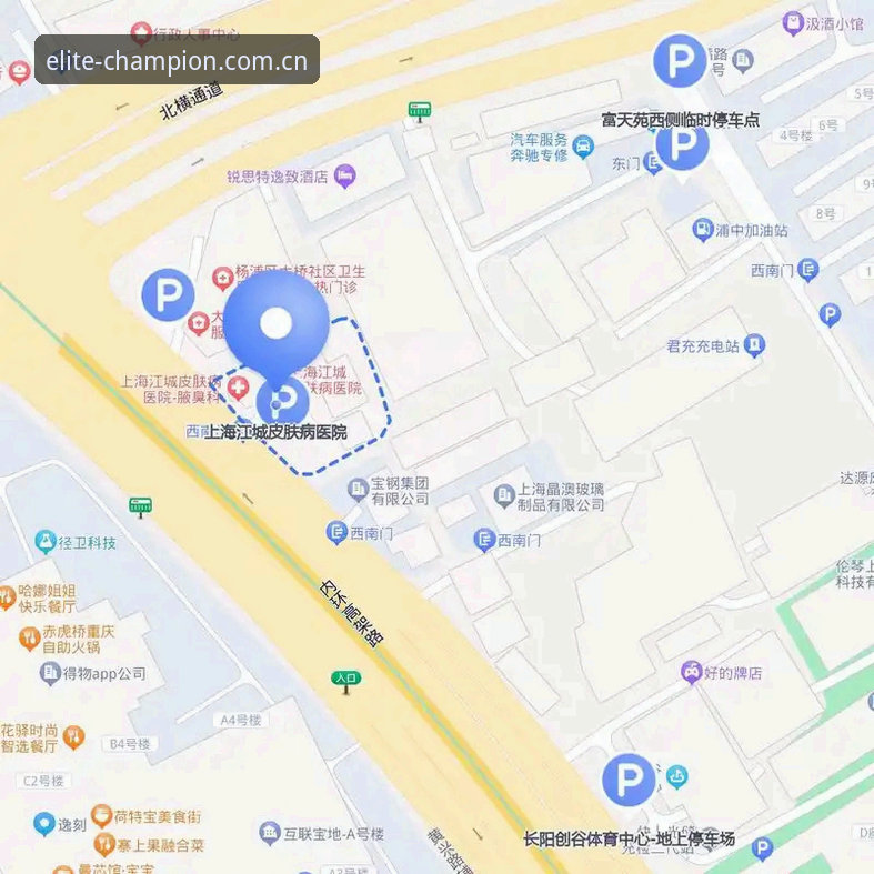 冠军体育平台v4.5新手上手指南：从下载到实时数据全流程攻略